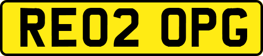 RE02OPG