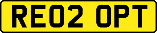 RE02OPT