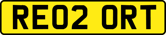 RE02ORT