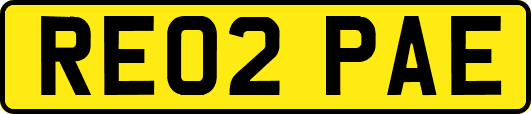 RE02PAE