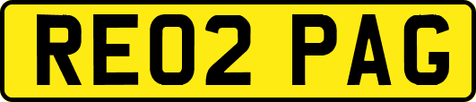 RE02PAG