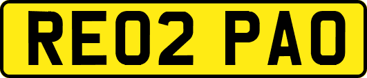 RE02PAO