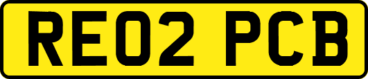 RE02PCB