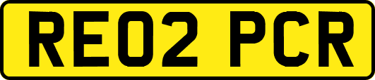 RE02PCR