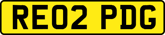 RE02PDG
