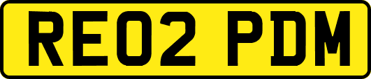 RE02PDM