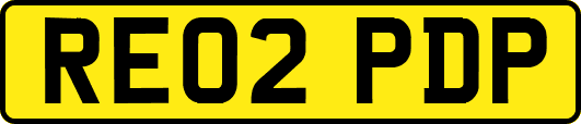 RE02PDP