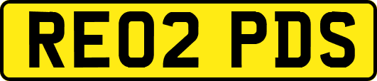 RE02PDS