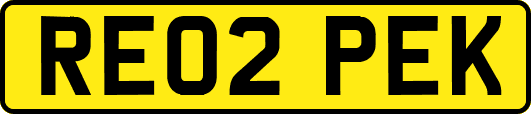 RE02PEK