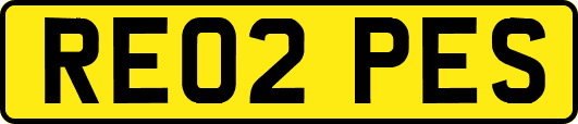 RE02PES