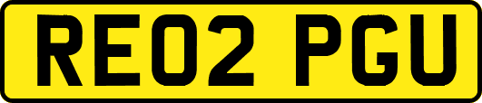 RE02PGU