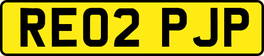 RE02PJP
