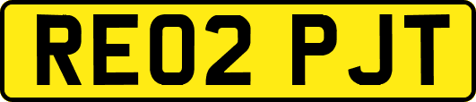 RE02PJT