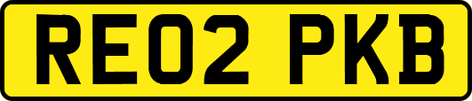 RE02PKB