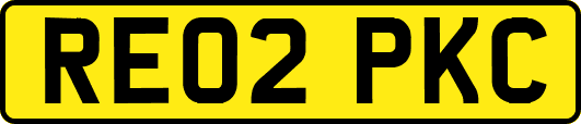 RE02PKC