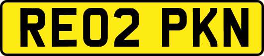 RE02PKN