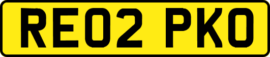RE02PKO