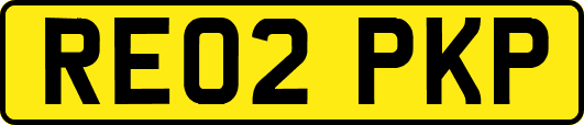 RE02PKP