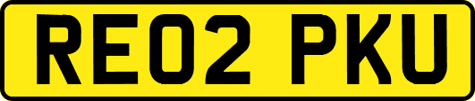 RE02PKU