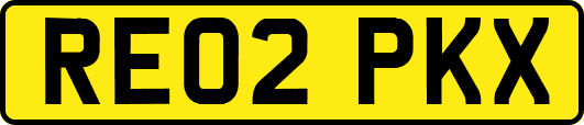RE02PKX