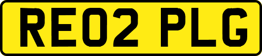 RE02PLG