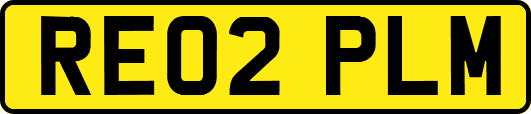 RE02PLM