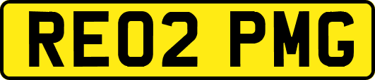 RE02PMG