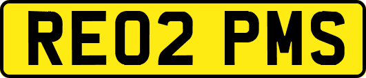 RE02PMS
