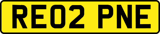 RE02PNE