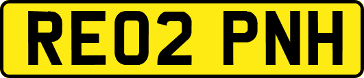 RE02PNH