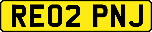 RE02PNJ