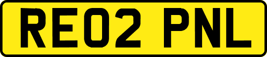 RE02PNL