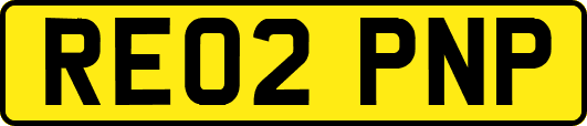 RE02PNP