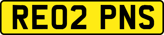 RE02PNS