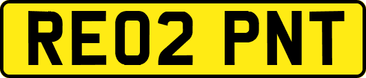 RE02PNT