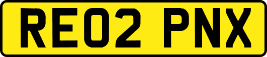 RE02PNX