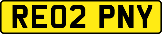 RE02PNY