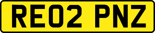 RE02PNZ
