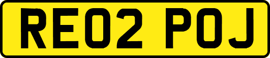 RE02POJ