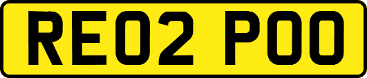 RE02POO