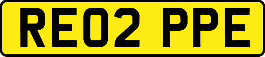 RE02PPE