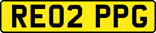 RE02PPG
