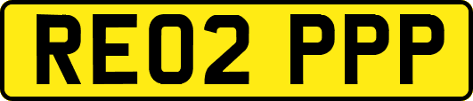 RE02PPP