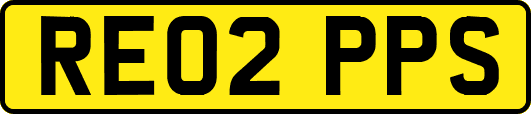 RE02PPS