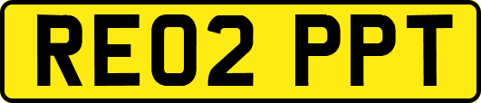 RE02PPT