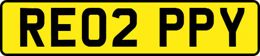 RE02PPY