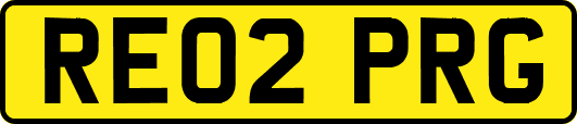 RE02PRG