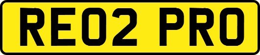 RE02PRO