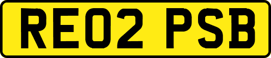 RE02PSB