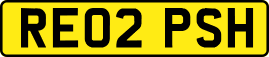 RE02PSH